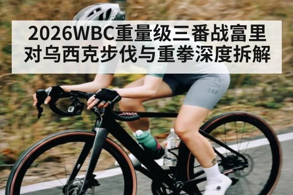 2026WBC重量级三番战富里对乌西克步伐与重拳深度拆解
